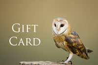 Birdhouse Fibres Gift Card